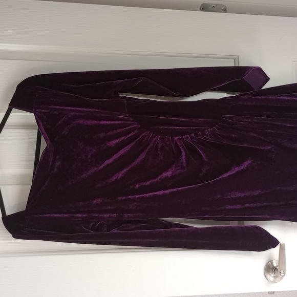 PYRAMID COLLECTION RENAISSANCE ELEGANT DEEP PURPLE VELVET MAXI DRESS SZ L - Picture 7 of 9